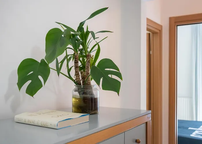 Con Terrazza Privata Бари