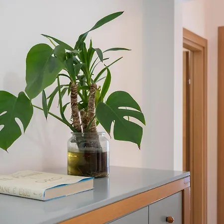Con Terrazza Privata Барі